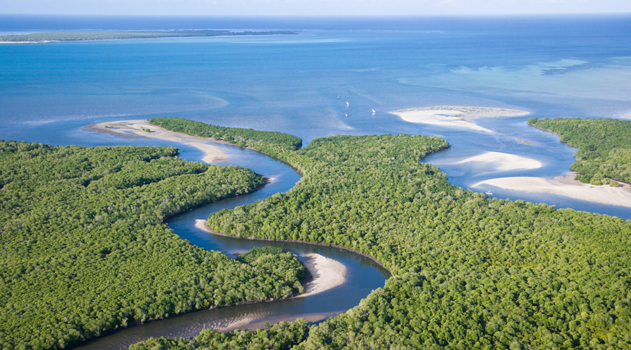 Mozambique Sea Kayaking (Quirimbas) and Dhow Safari - Pioneer Expeditions