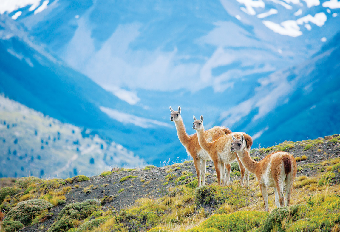 argentina-patagonia-holidays-adventure-pioneer-expeditions