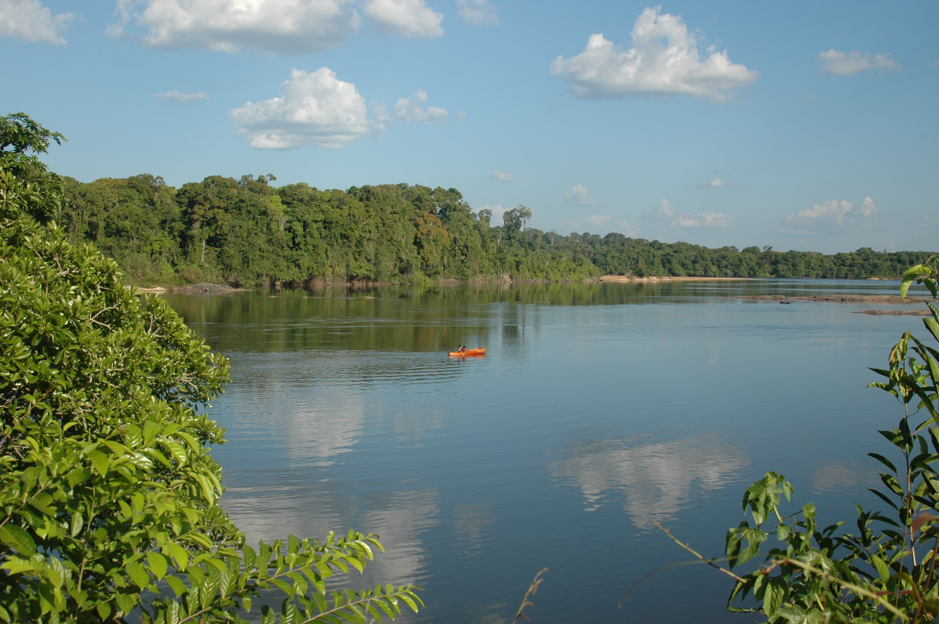 Guyana Nature Experience - Pioneer Expeditions