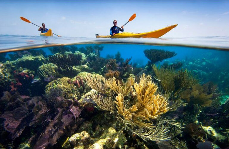 Kayaking through the stunning reefs of Belize.