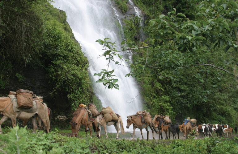 Waterfall and wildlife in Bhutan.