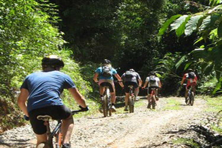 Cycling through Borneo.