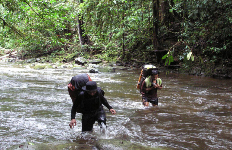 Crossing the river on one of the jungle treks.