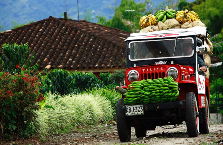 Experience Colombia's Coffee Region by Jeep.