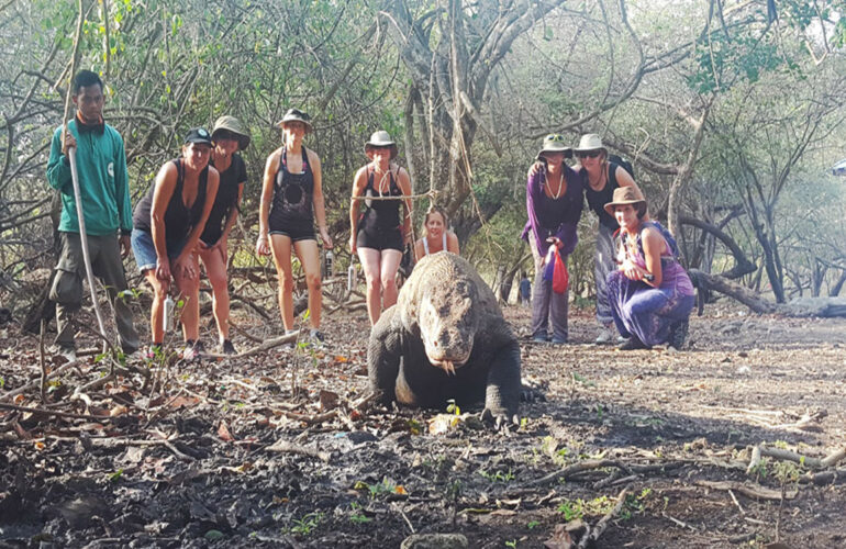 Seeing Komodo Dragons up close in part of this holiday in Indonesia