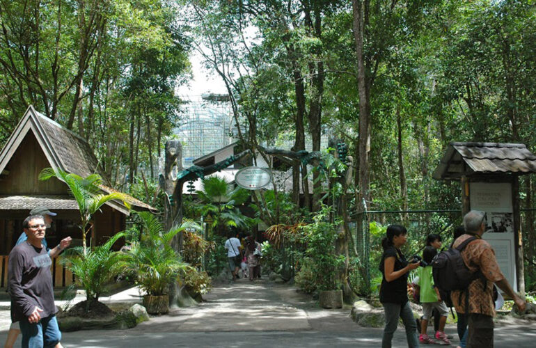 Tanjung Puting National Park is a national park in Indonesia and the most popular tourist destination.
