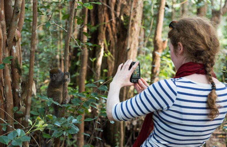 Getting close to a bamboo lemur at Lemur Island