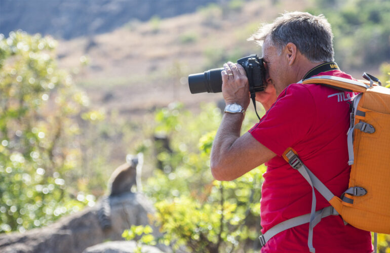 photographing wildlife