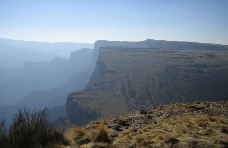 Eth01- gallery image4
