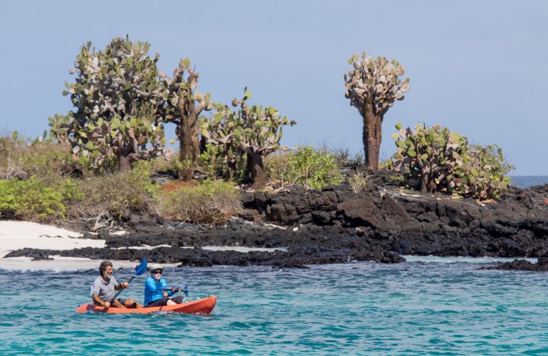 Gps kayak