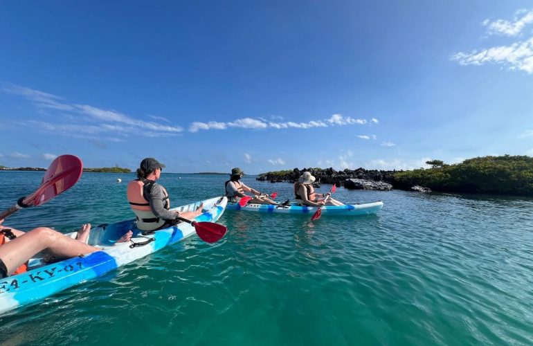 Kayaking Tintoreras