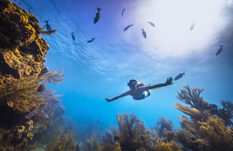 btb AlexandreSocci_Belize_17-1435